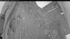 Web Cam Image - Thu, 05/28/2026 9:14pm PDT