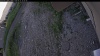 Web Cam Image - Sun, 06/21/2026 5:59pm PDT