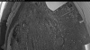 Web Cam Image - Sun, 05/17/2026 3:54am PDT