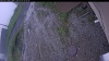 Web Cam Image - Tue, 06/09/2026 4:29am PDT