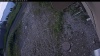 Web Cam Image - Tue, 07/07/2026 7:29am PDT