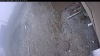 Web Cam Image - Wed, 05/06/2026 1:09pm PDT