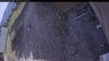 Web Cam Image - Sat, 05/09/2026 3:44pm PDT