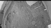 Web Cam Image - Thu, 05/28/2026 9:04pm PDT