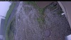 Web Cam Image - Tue, 06/09/2026 4:24am PDT