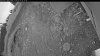 Web Cam Image - Wed, 07/01/2026 3:14am PDT