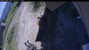 Web Cam Image - Fri, 07/31/2026 12:54pm PDT