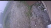 Web Cam Image - Thu, 06/04/2026 7:29am PDT