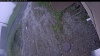 Web Cam Image - Tue, 06/09/2026 4:19am PDT
