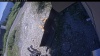 Web Cam Image - Fri, 07/31/2026 12:49pm PDT