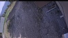 Web Cam Image - Sat, 05/09/2026 3:34pm PDT