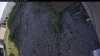 Web Cam Image - Mon, 06/22/2026 5:44pm PDT