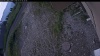 Web Cam Image - Tue, 07/07/2026 7:14am PDT