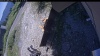 Web Cam Image - Fri, 07/31/2026 12:44pm PDT