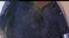 Web Cam Image - Tue, 06/02/2026 4:54am PDT