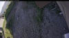 Web Cam Image - Mon, 06/22/2026 5:39pm PDT