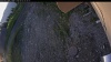 Web Cam Image - Tue, 06/02/2026 4:49am PDT