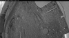 Web Cam Image - Sat, 05/02/2026 4:29am PDT