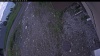 Web Cam Image - Fri, 06/05/2026 8:44pm PDT