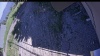 Web Cam Image - Sat, 06/20/2026 3:39pm PDT