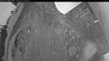 Web Cam Image - Wed, 07/01/2026 2:49am PDT