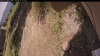 Web Cam Image - Tue, 09/16/2025 11:24am PDT