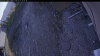 Web Cam Image - Mon, 05/11/2026 5:44pm PDT