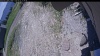 Web Cam Image - Tue, 06/02/2026 11:49am PDT