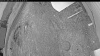 Web Cam Image - Tue, 05/12/2026 8:09pm PDT