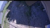 Web Cam Image - Sat, 06/20/2026 3:34pm PDT