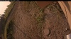 Web Cam Image - Tue, 09/02/2025 12:39am PDT
