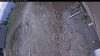 Web Cam Image - Sun, 05/10/2026 1:19pm PDT