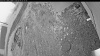 Web Cam Image - Tue, 06/09/2026 3:44am PDT