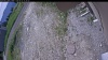 Web Cam Image - Mon, 06/15/2026 9:49am PDT