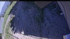Web Cam Image - Sat, 06/20/2026 3:24pm PDT