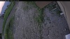 Web Cam Image - Wed, 06/24/2026 7:19pm PDT