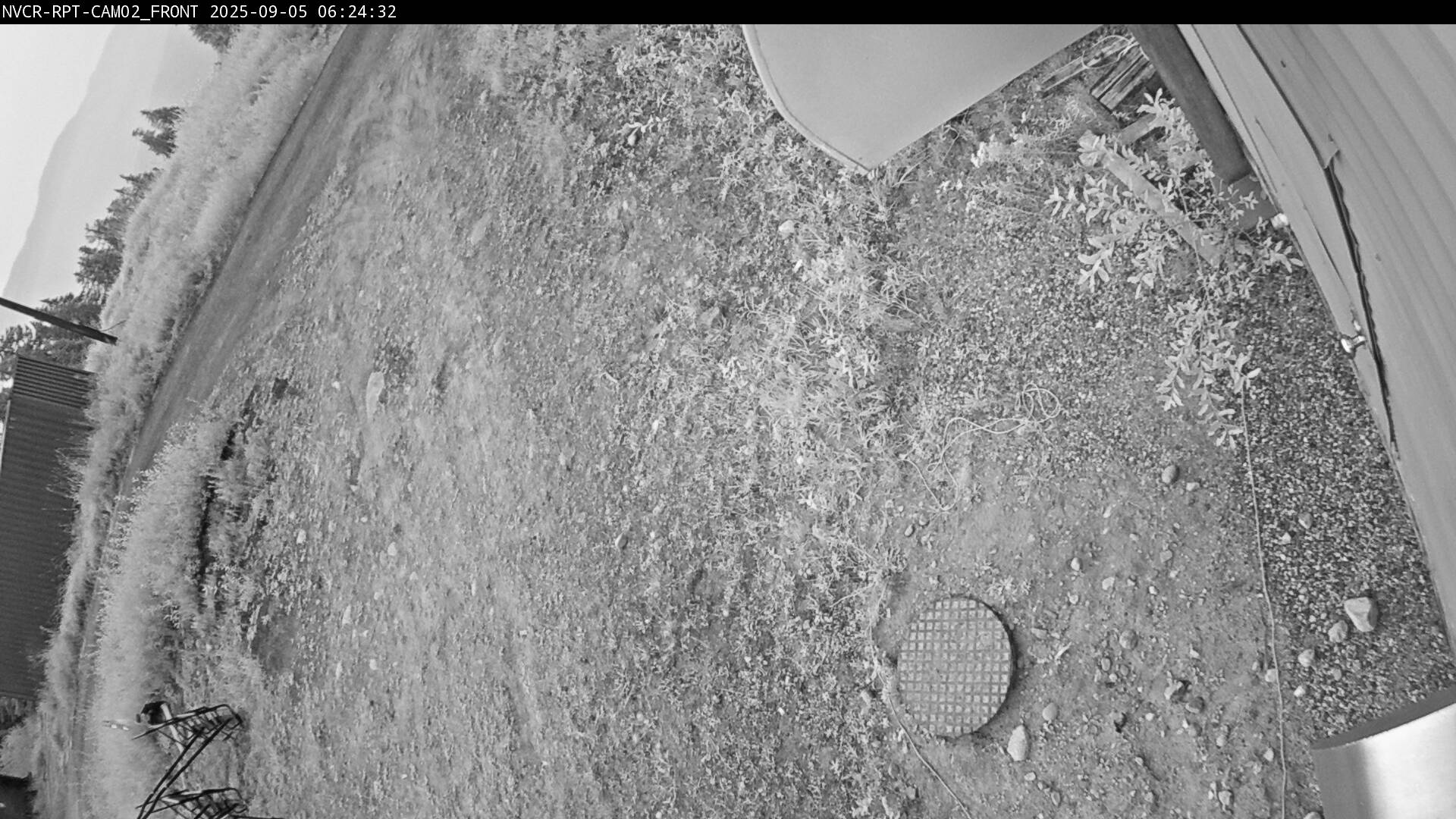 Web Cam History Image - 804