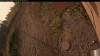 Web Cam Image - Tue, 09/02/2025 12:24am PDT
