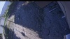 Web Cam Image - Mon, 05/11/2026 4:49pm PDT