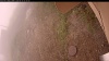 Web Cam Image - Mon, 09/15/2025 6:04am PDT