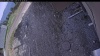 Web Cam Image - Sat, 05/09/2026 2:44pm PDT