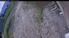 Web Cam Image - Mon, 06/15/2026 9:29am PDT