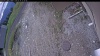 Web Cam Image - Thu, 05/14/2026 10:44am PDT