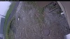 Web Cam Image - Tue, 05/26/2026 1:29pm PDT