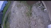 Web Cam Image - Mon, 06/15/2026 9:24am PDT