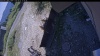Web Cam Image - Mon, 08/03/2026 1:09pm PDT