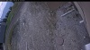 Web Cam Image - Sun, 05/10/2026 12:49pm PDT