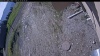 Web Cam Image - Fri, 05/22/2026 8:24am PDT