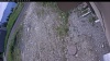 Web Cam Image - Mon, 06/15/2026 9:14am PDT