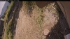 Web Cam Image - Tue, 09/16/2025 11:19am PDT